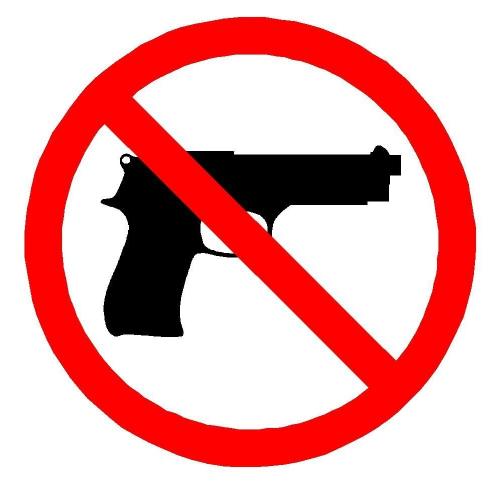 Well Spring Second Chance Center Bury our Guns not our people program